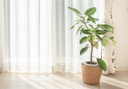 窓まわりのリフォームはエムテー長野にご相談ください。