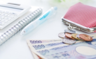 エコポイントや補助金対象の場合もあり