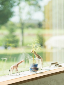 そんな実感を、ぜひエムテー長野のリフォームでお確かめください。